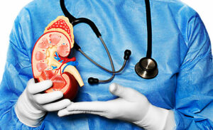 colesterol alto y salud renal